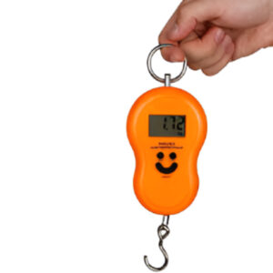 digital hanging scale